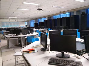 计算机网络技术 构建数字时代的核心基石