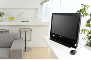 索尼 VAIO J115EC/Bi 哑光黑一体电脑 简约设计下的高效计算体验